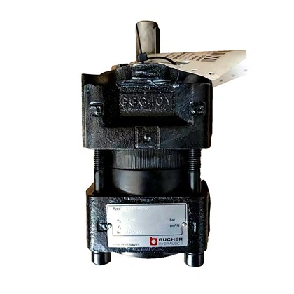 Pompe a ingranaggi interni Bucher QX